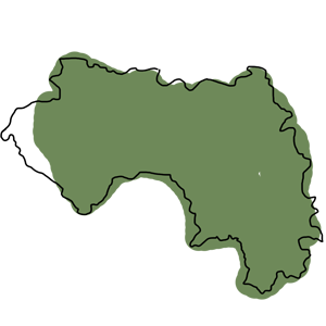 GUINEA